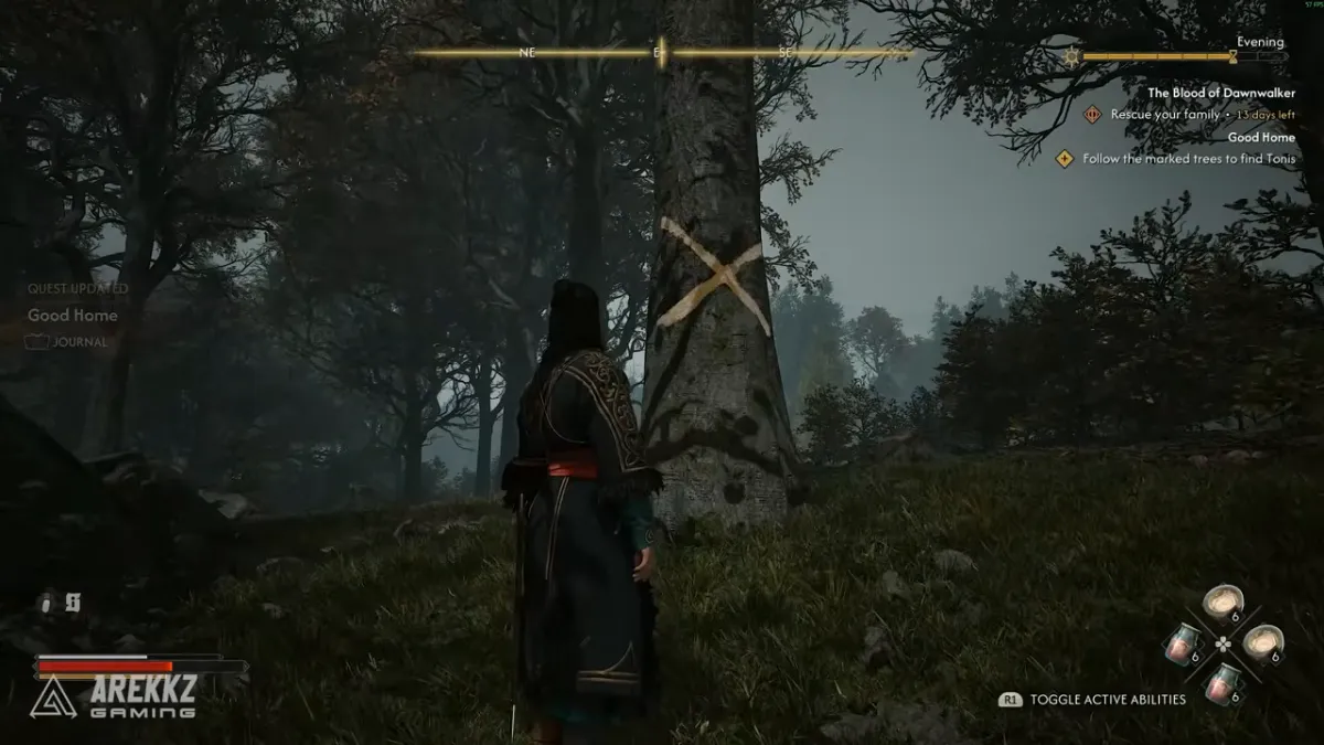 A tall tree trunk painted with a pale X, with the objective Follow the marked trees to find Tonis in the tracker