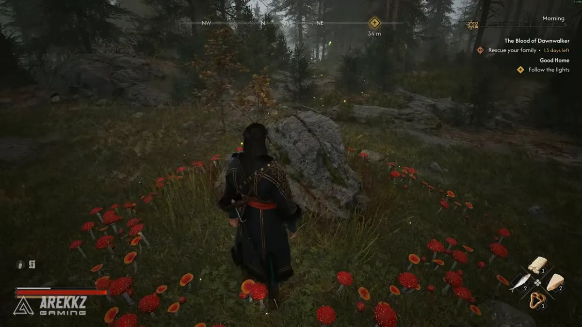 A grey boulder in a forest clearing, circled by red mushrooms, with the objective Follow the lights in the quest tracker